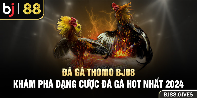 Đá Gà Thomo BJ88 - Khám Phá Dạng Cược Đá Gà Hot Nhất 2024