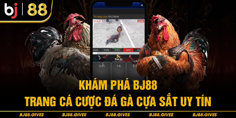 Khám phá BJ88 - Trang cá cược đá gà cựa sắt uy tín