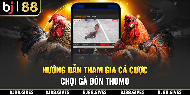 Hướng dẫn tham gia cá cược chọi gà đòn Thomo