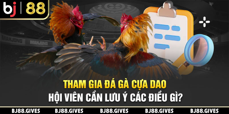 Tham gia đá gà cựa dao hội viên cần lưu ý các điều gì?