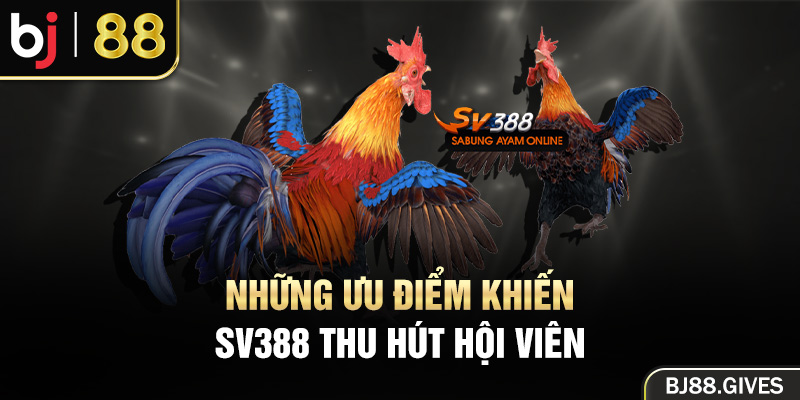 Những ưu điểm khiến SV388 thu hút nhiều hội viên